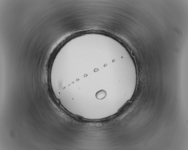 X0000114191118200911061357