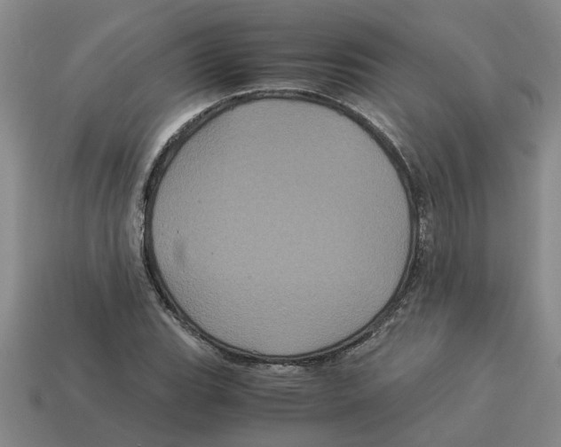 X0000114191119200911061357