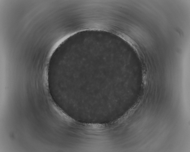 X0000114191120200911061357