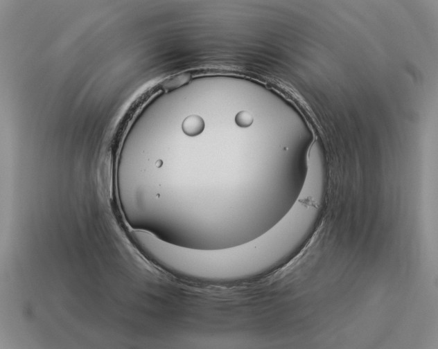 X0000114191123200911061357