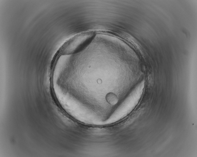 X0000114191124200911061357