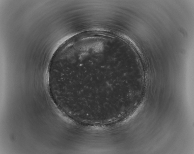 X0000114191125200911061357