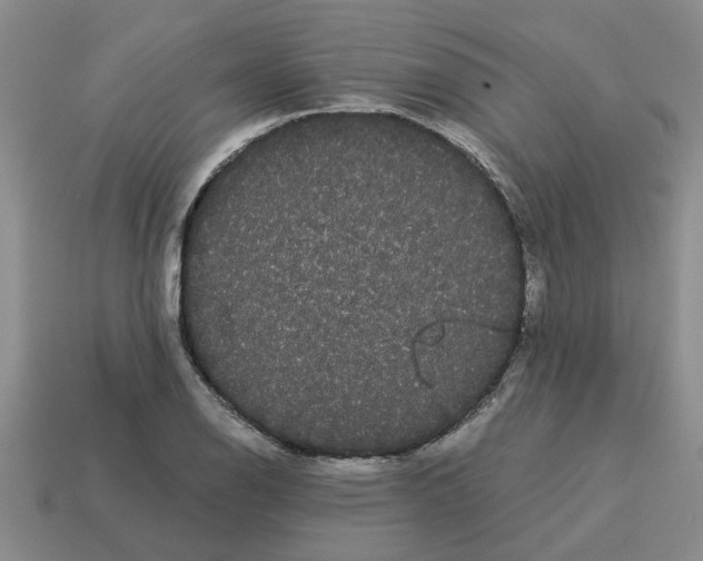 X0000114191126200911061357