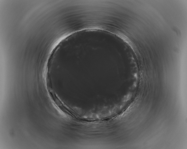 X0000114191127200911061357