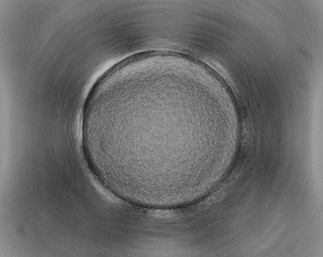 X0000114191128200911061357