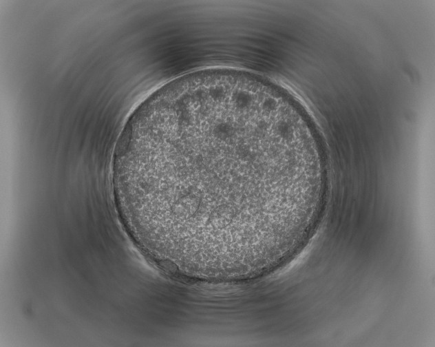 X0000114191129200911061357