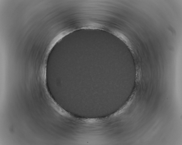 X0000114191130200911061357