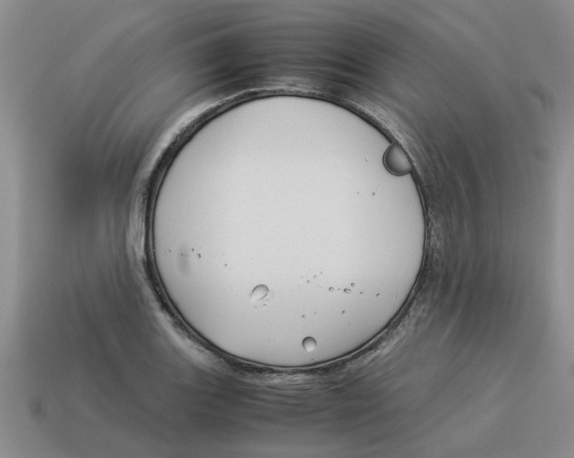 X0000114191131200911061357