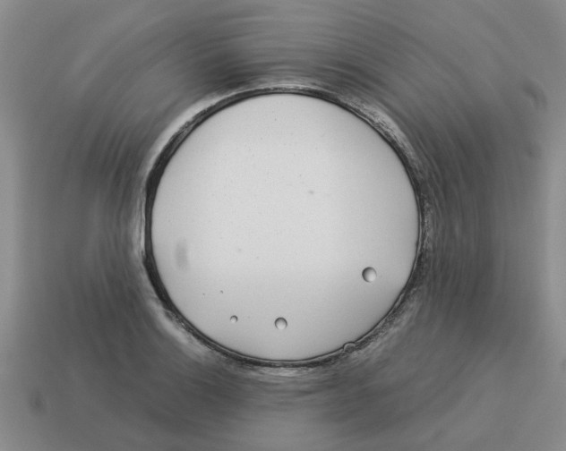 X0000114191132200911061357