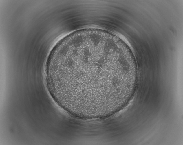 X0000114191133200911061357