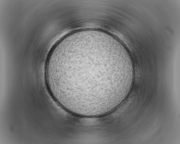 X0000114191134200911061357