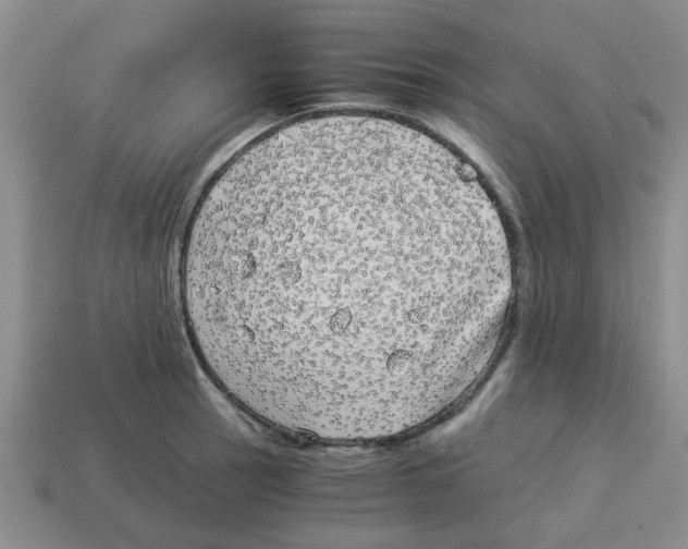 X0000114191137200911061357