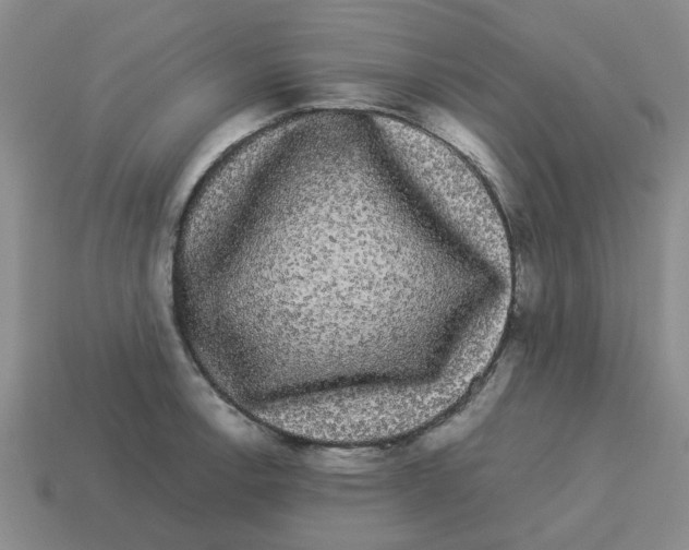 X0000114191138200911061357