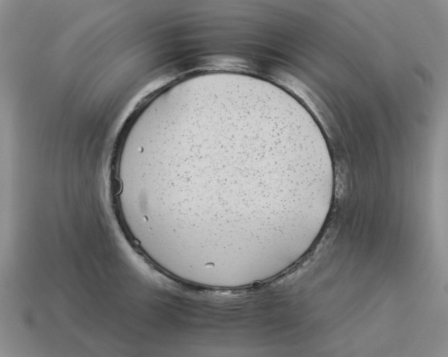 X0000114191139200911061357