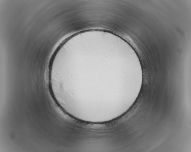 X0000114191140200911061357