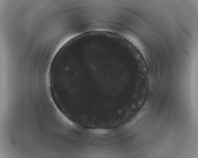 X0000114191141200911061357