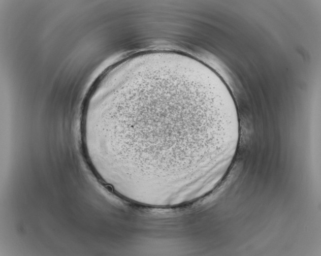 X0000114191142200911061357