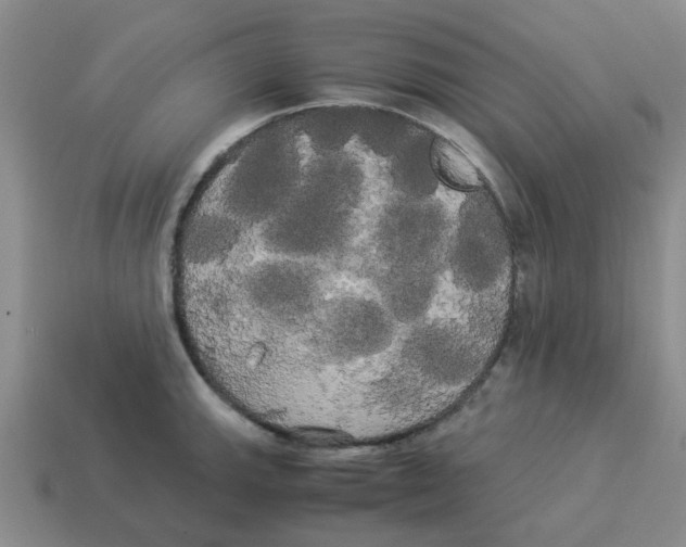 X0000114191143200911061357