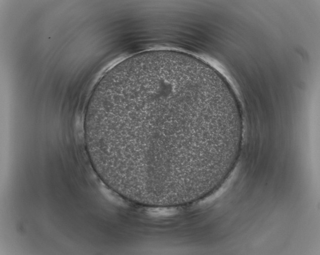 X0000114191145200911061357