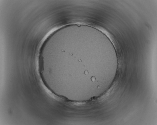 X0000114191147200911061357