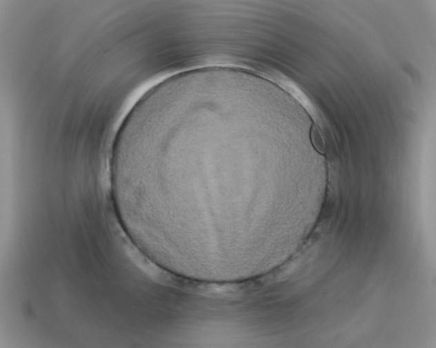 X0000114191148200911061357