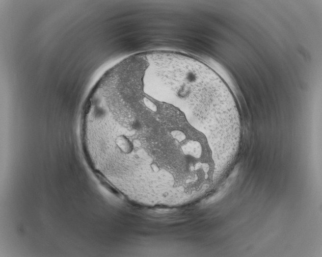 X0000114191149200911061357