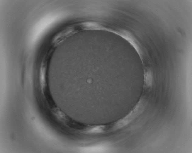 X0000114191150200911061357