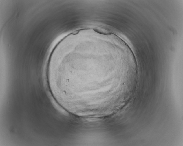 X0000114191152200911061357