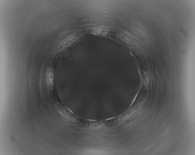 X0000114191154200911061357