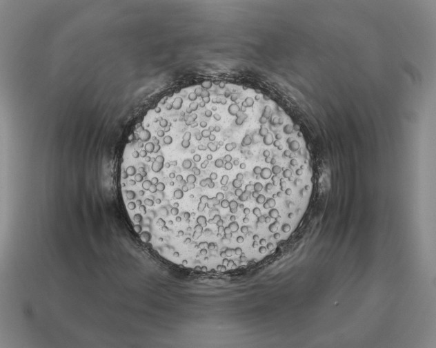 X0000114191156200911061357