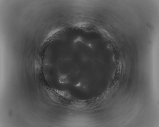 X0000114191158200911061357