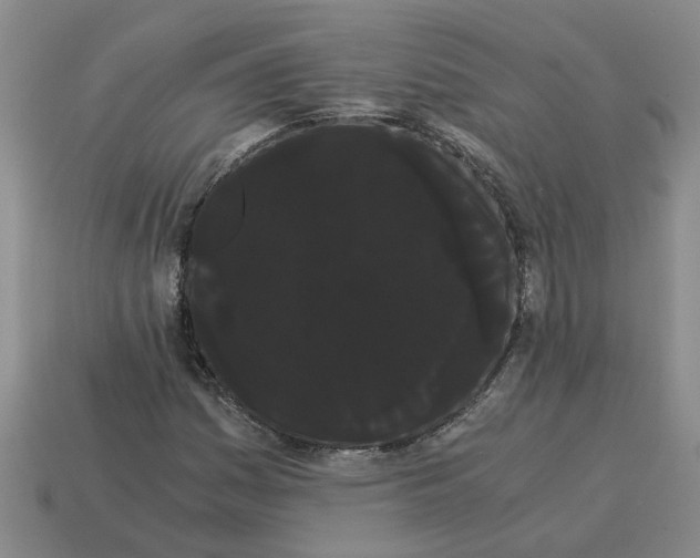 X0000114191161200911061357