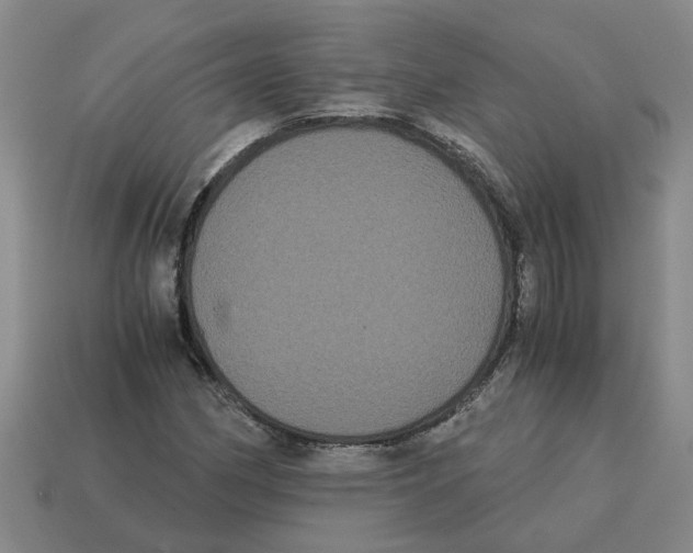 X0000114191162200911061357