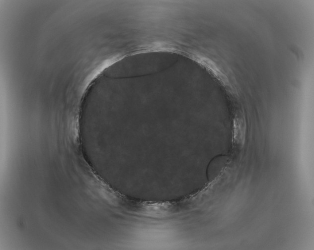 X0000114191165200911061356