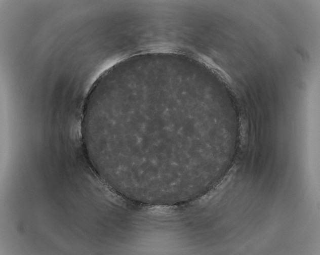 X0000114191166200911061356