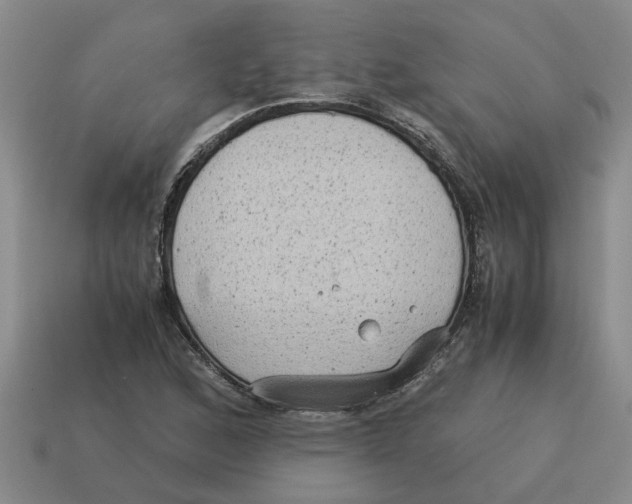 X0000114191168200911061356