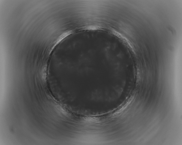 X0000114191170200911061356