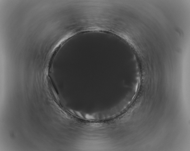 X0000114191173200911061356