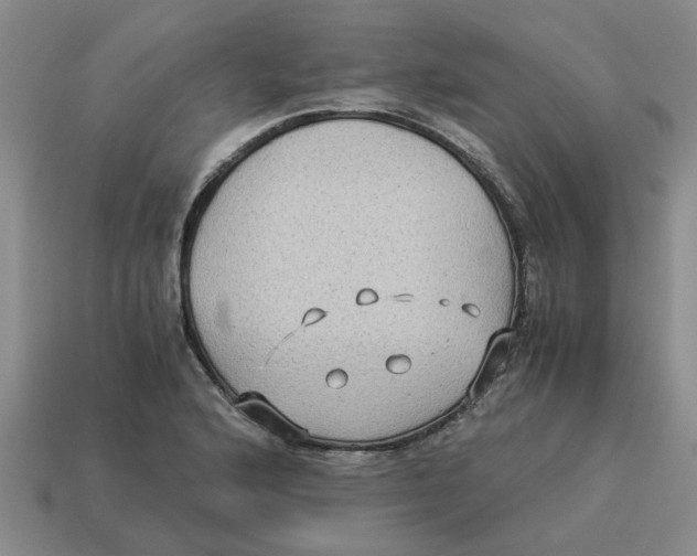 X0000114191176200911061356