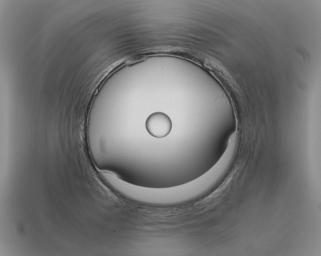 X0000114191177200911061356