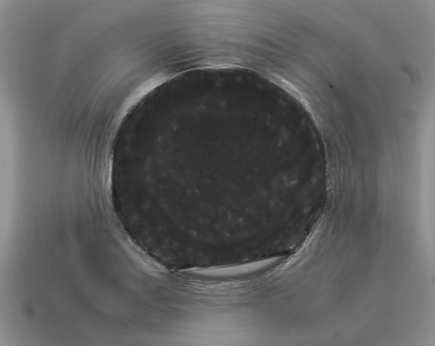 X0000114191179200911061356