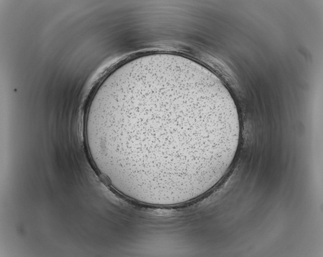 X0000114191180200911061356