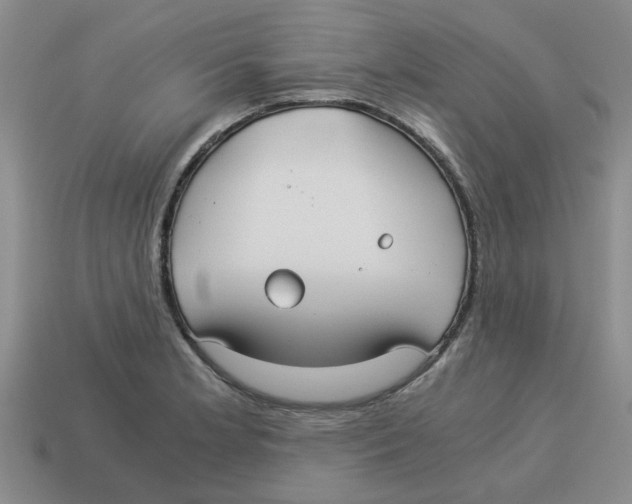 X0000114191181200911061356