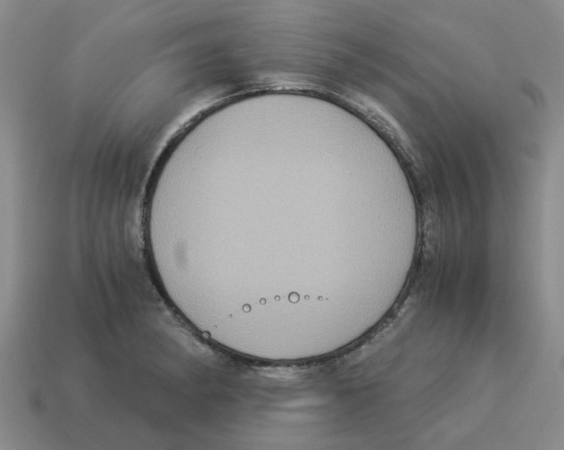 X0000114191182200911061356