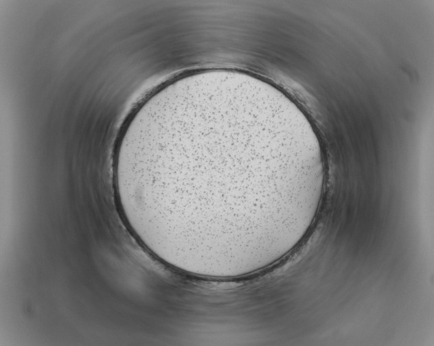 X0000114191184200911061356