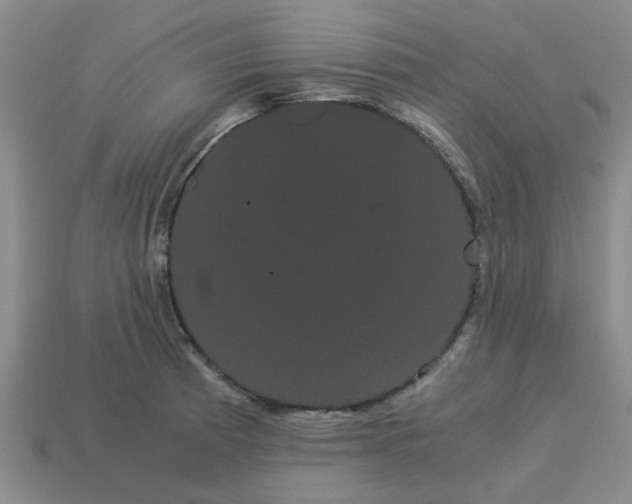 X0000114191185200911061356