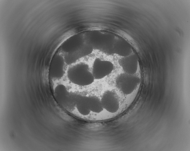 X0000114191186200911061356