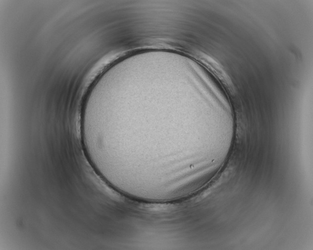 X0000114191188200911061356