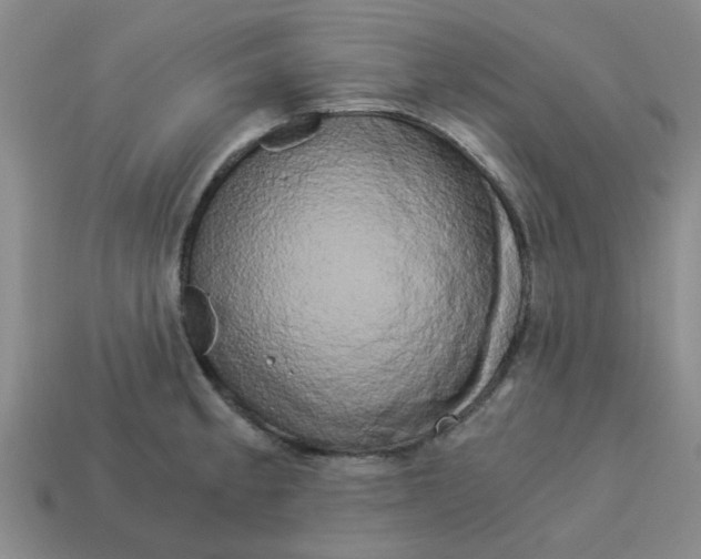 X0000114191189200911061356