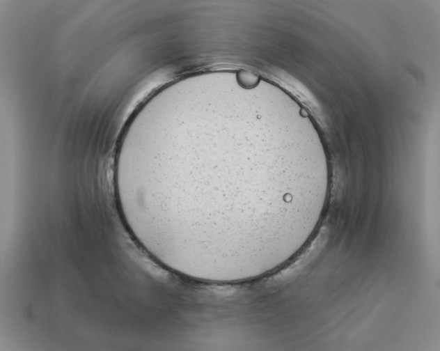 X0000114191190200911061356